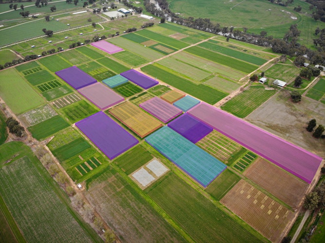 Agworld provides easier access to data for crop insurance