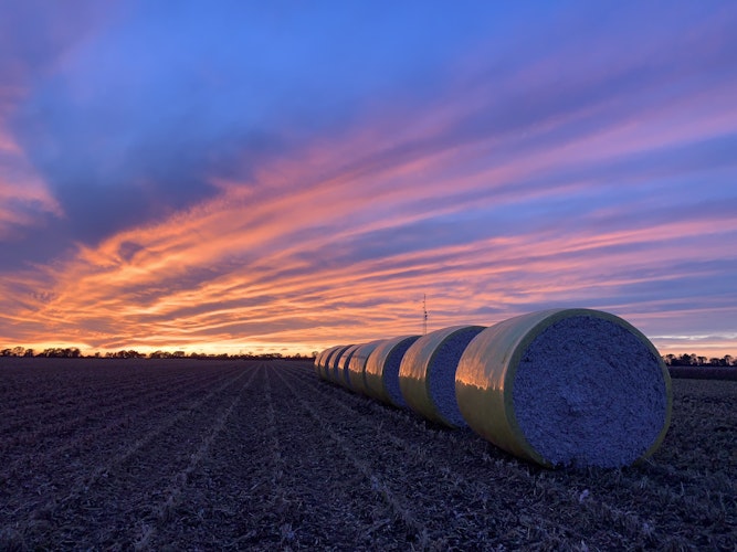 Agworld Farm Management Software improves readability