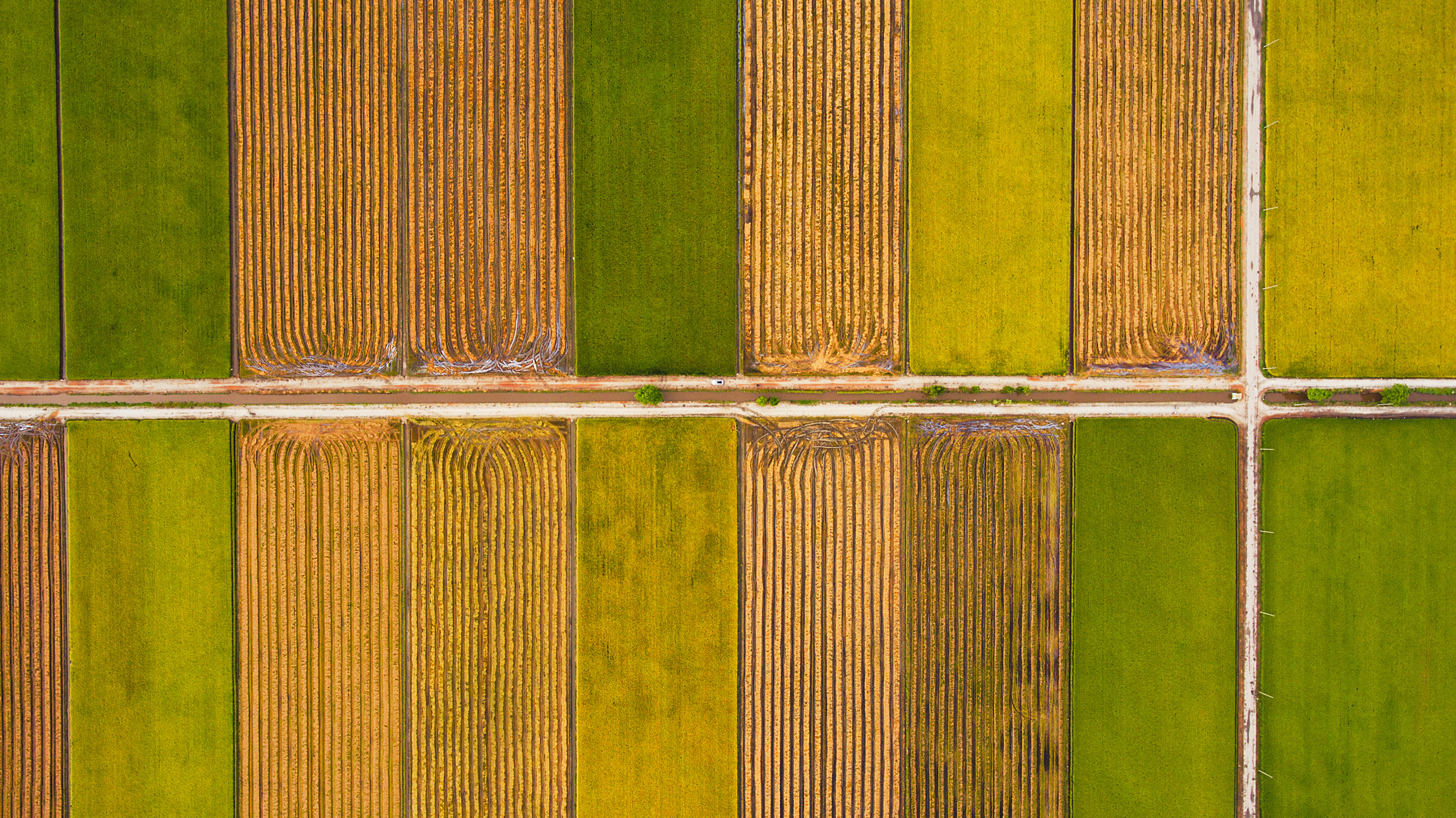 Brad Jones Agworld Case Study