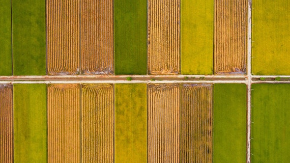 Brad Jones Agworld Case Study