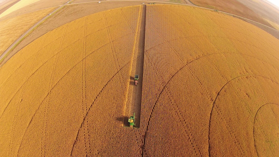 Agworld drone footage, crop circles, wheat harvest.
