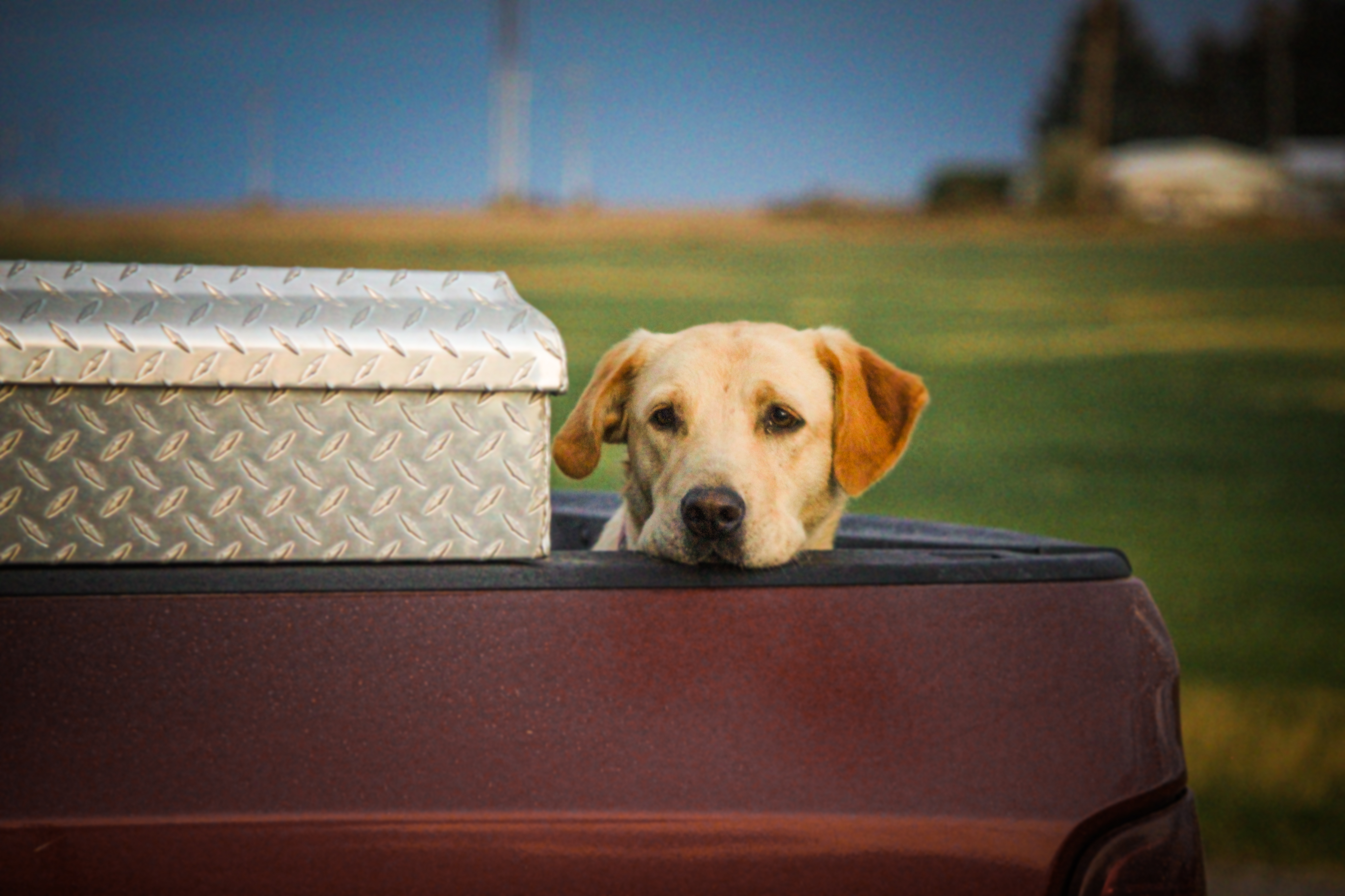 Buying Digital Agtech