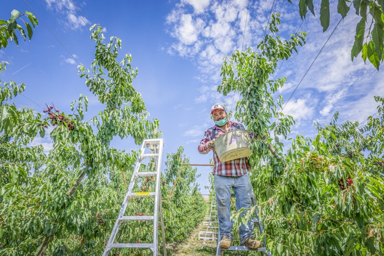 Custom operations now available