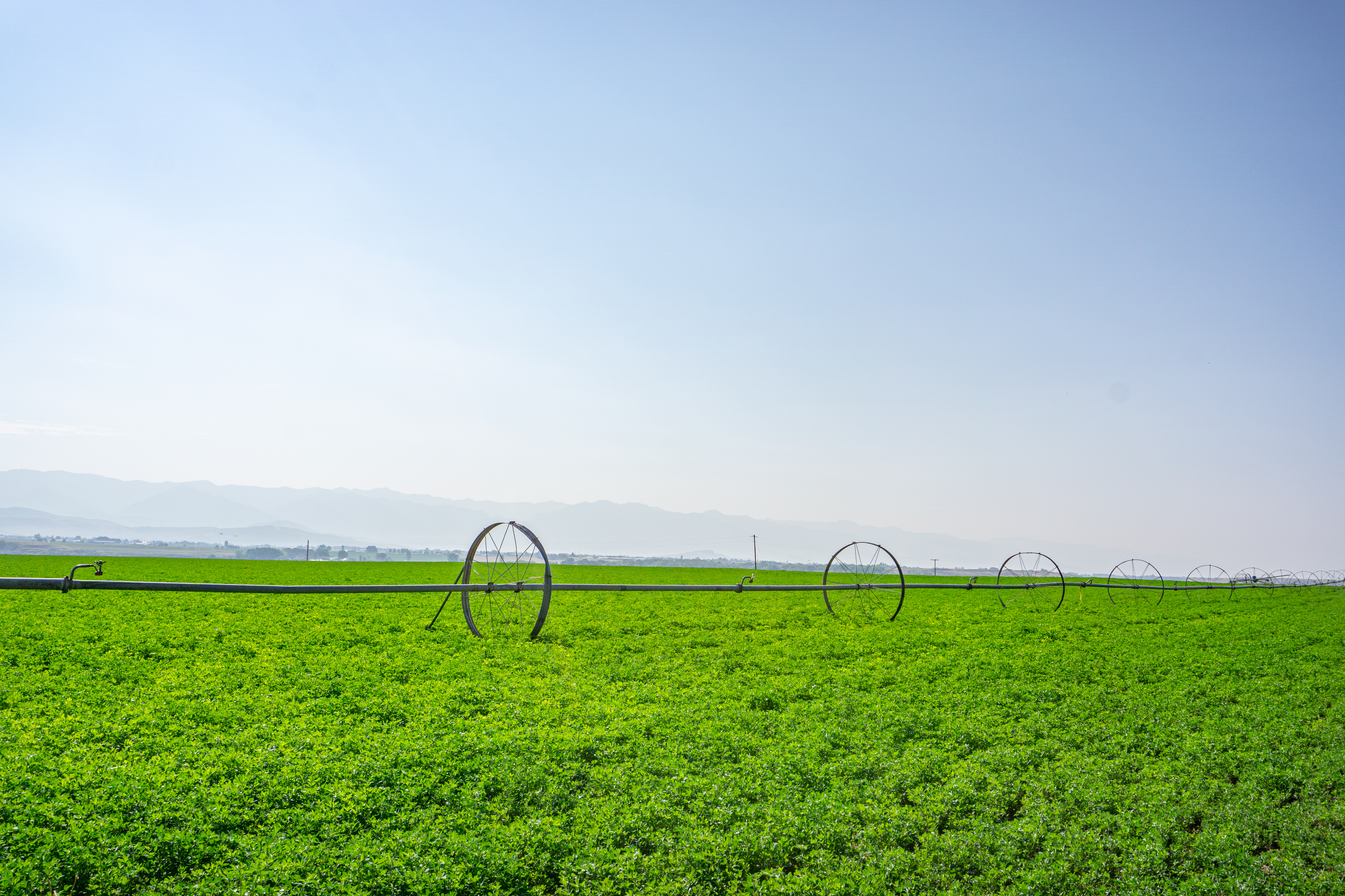 Agworld integrated with MVTL