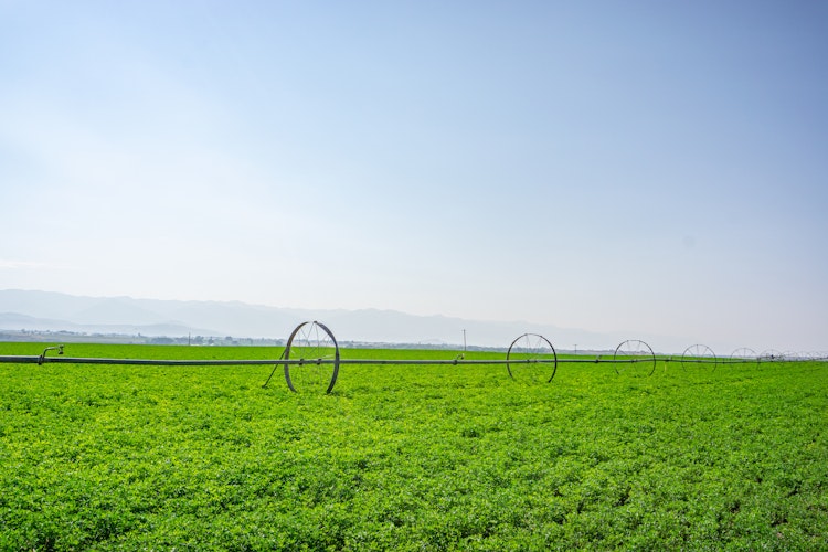 Agworld integrated with MVTL