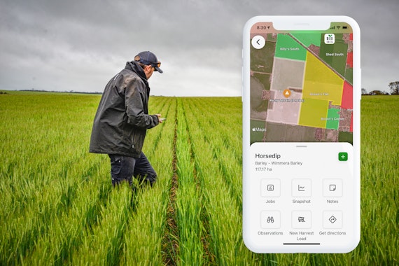 Agworld Farm Management Software customer in the corn field, making informed decisions by using Agworld.