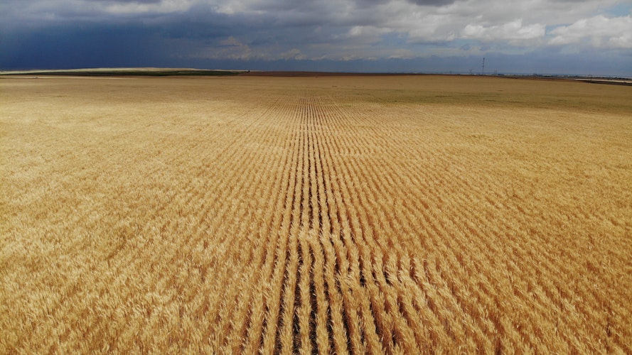 Agworld’s new subscription admin portal