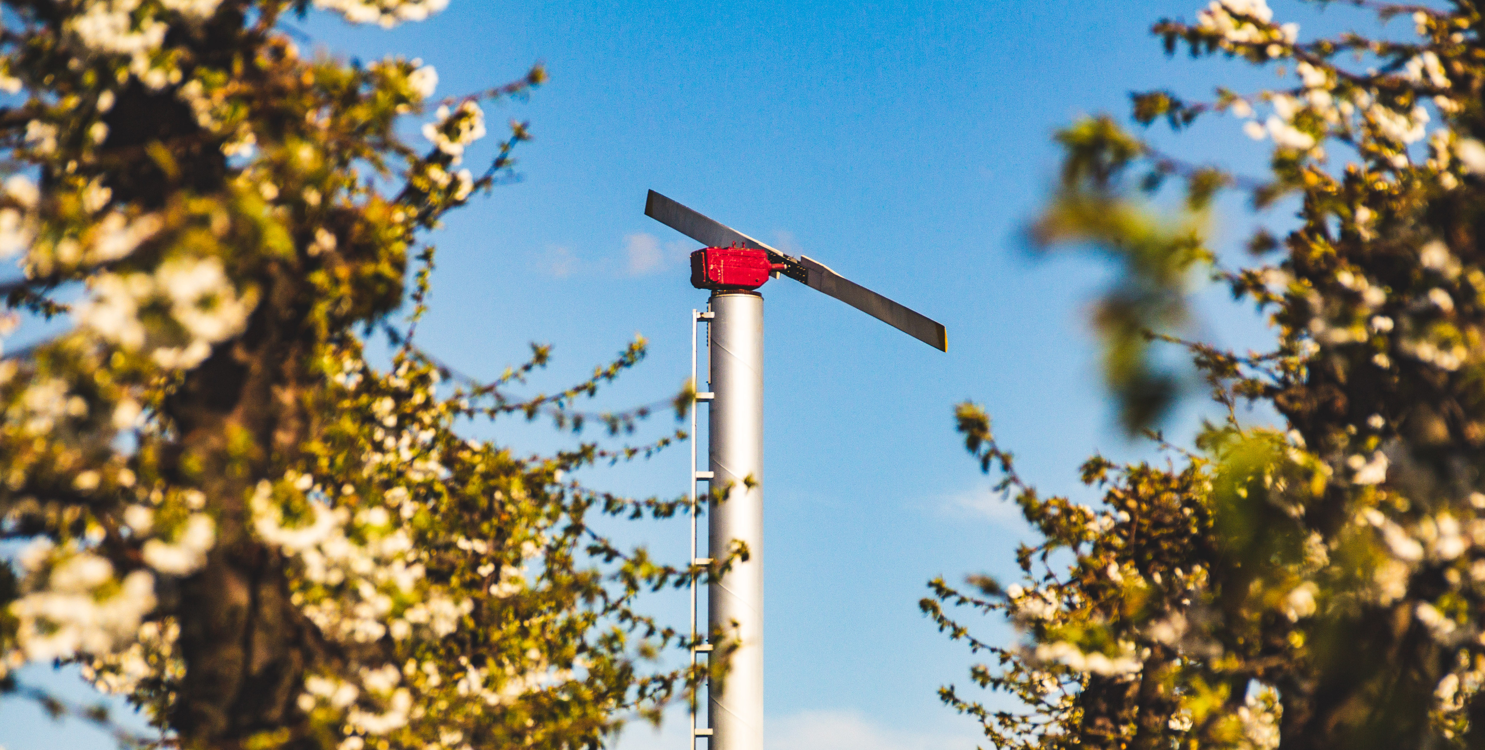 The value of independence