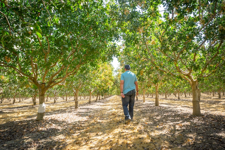 BIG: The good, the bad and the fabulous