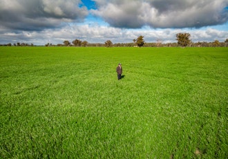 Drone view of farm fields