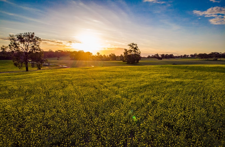 Agworld integration with Figured