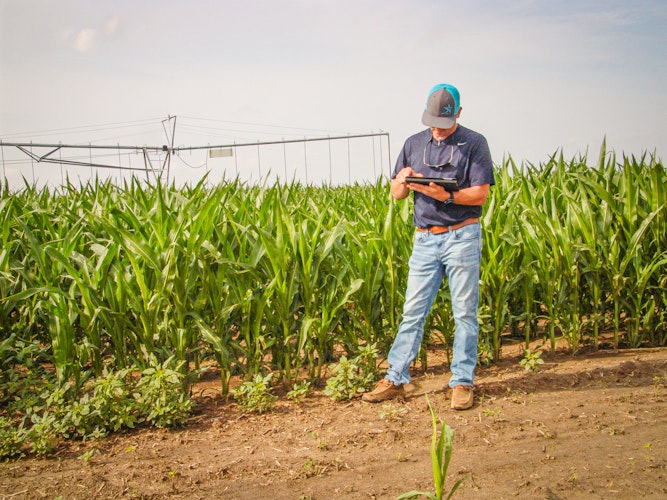 Preparing for crunch time