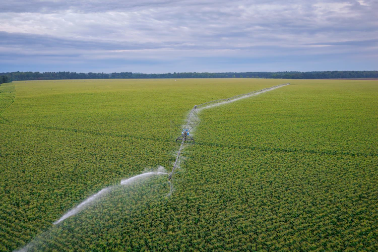 The next chapter of digital agriculture will be connected