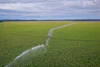 The next chapter of digital agriculture will be connected