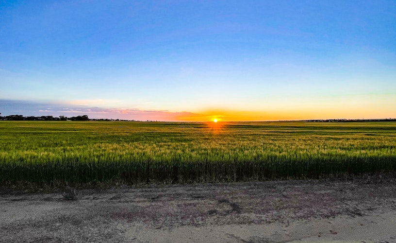 The value of independence