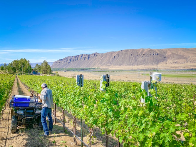 Pull your weather data into Agworld 