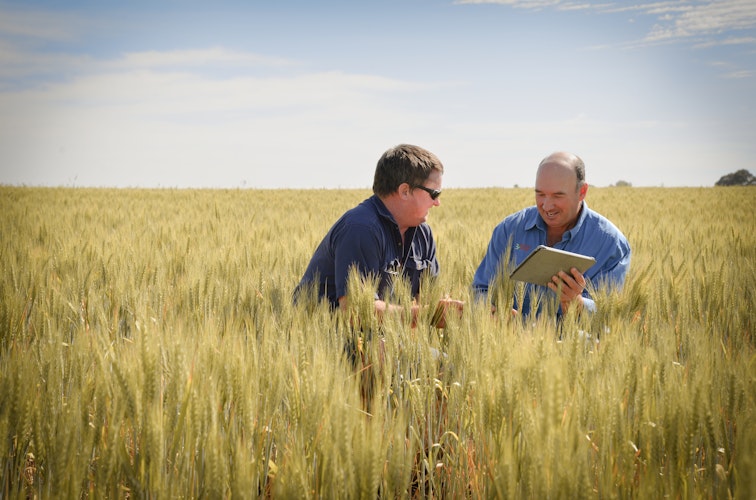 Agworld client, AGnVET Henty and Tronder Pastoral, Nathan Solesby and Ralph Malmo