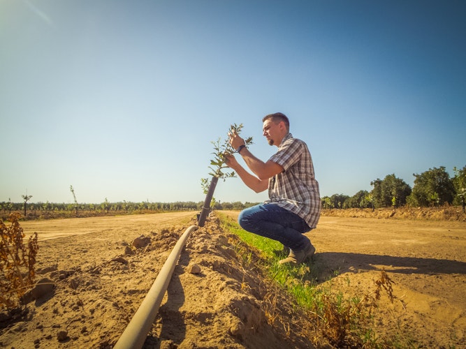 Agworld Farm Management Software Client, Agvantage Consulting, Visalia, CA