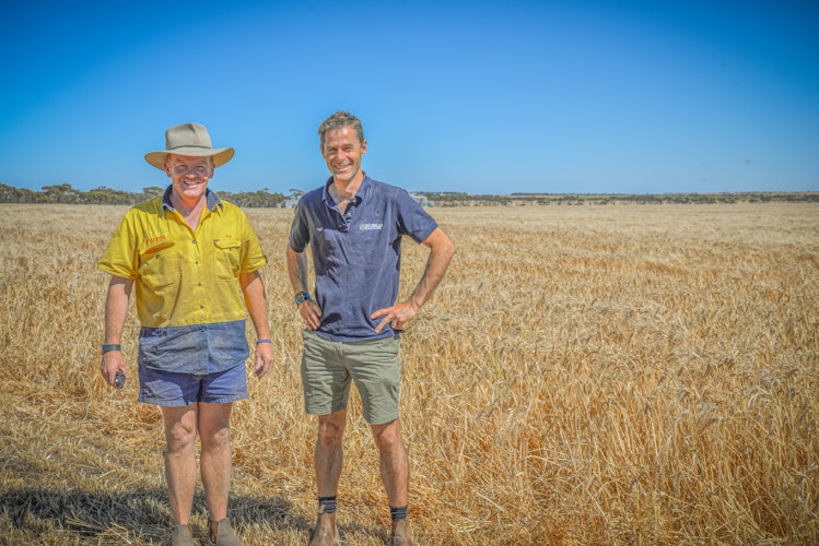 Agworld Farm Management Software Client, Anna Binna Farms, Maitland, SA