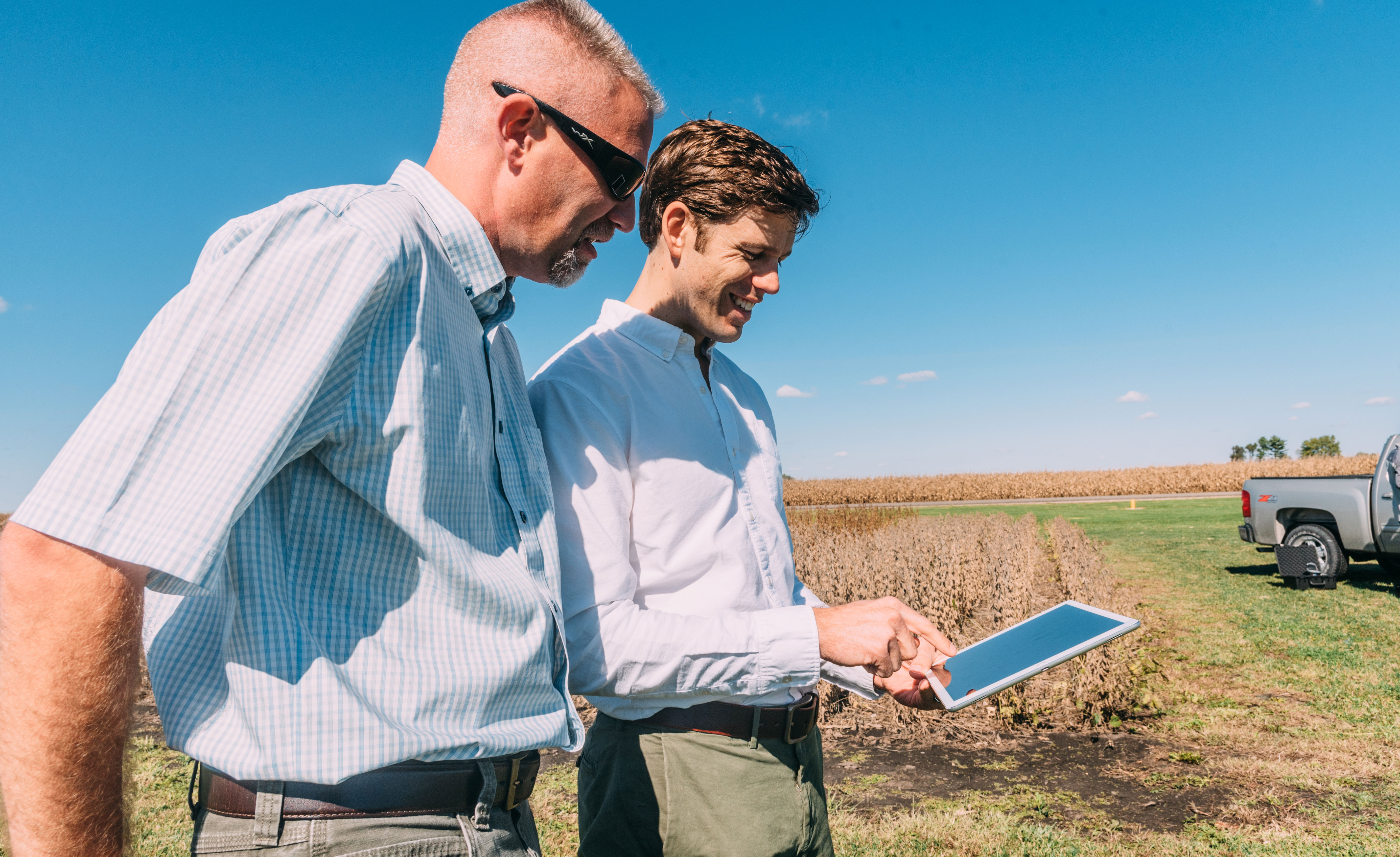 Agworld crops, cotton field