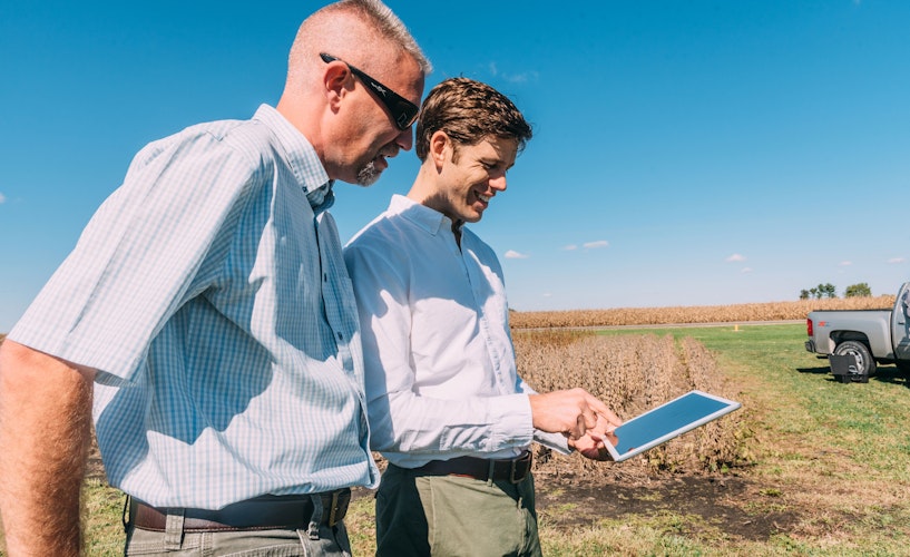 Agworld crops, cotton field
