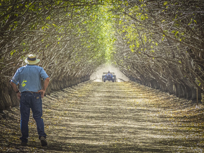 Agworld Farm Management Software Client, Colusa County Farm Supply, Williams, CA
