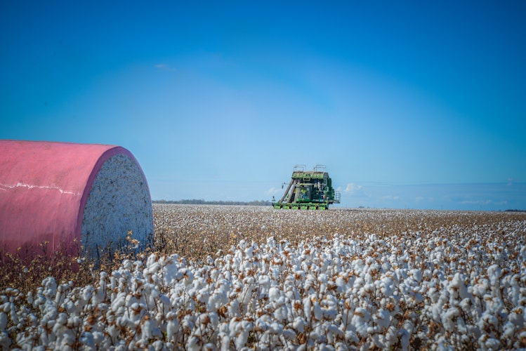 Agworld Customer, CQ Ag Services, Queensland Australia. Cotton harvest and bale