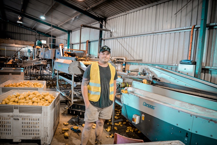 Agworld Client, Daly Potato Co, Nathan Daly, Packing shed, Marion Bay, TAS