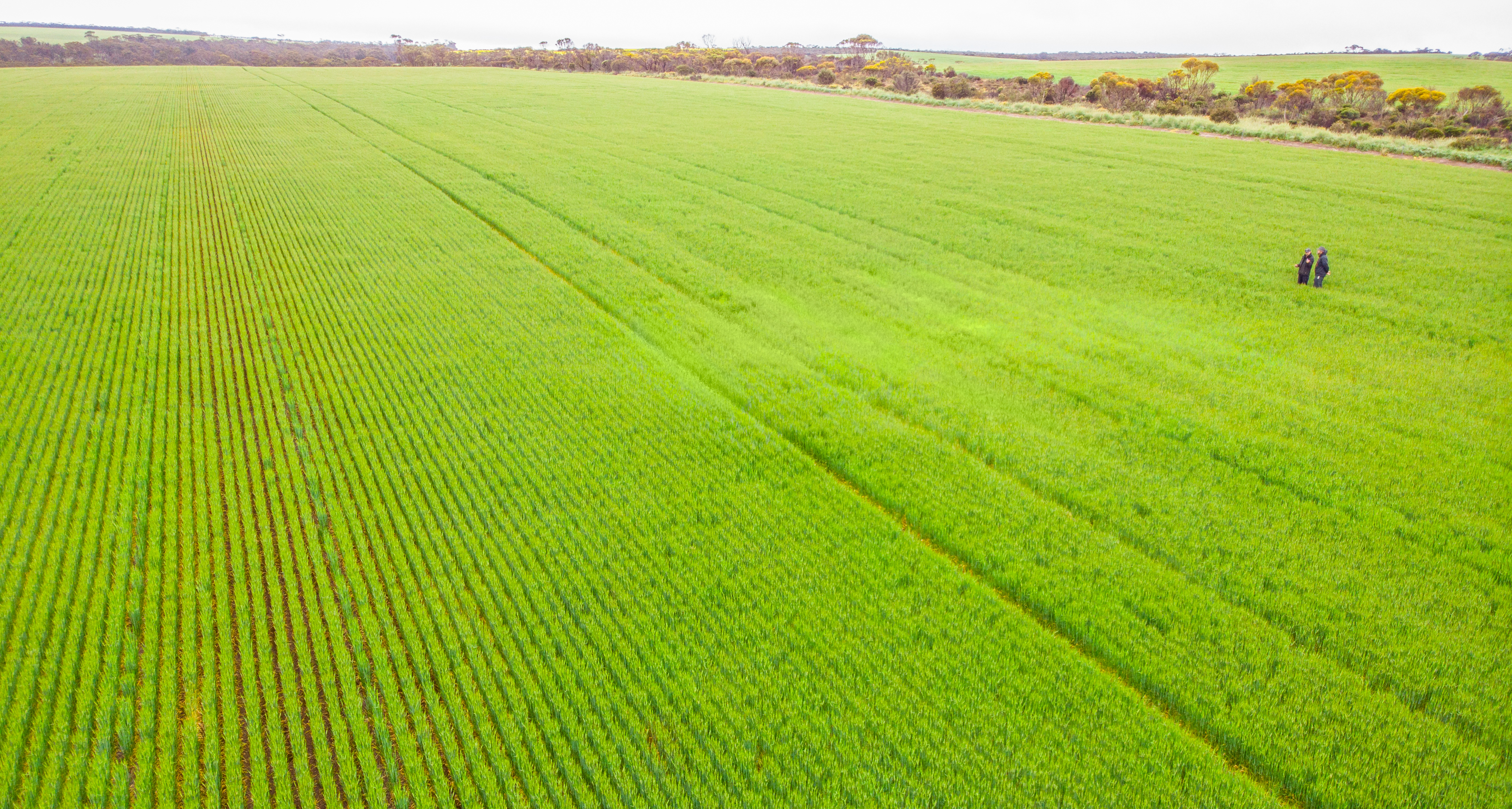 Agworld partner RVC Davidson