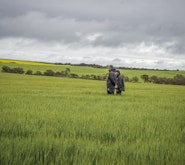 Agworld Farm Management Software Client, RVC Davidson Agworld Farm Management Software Client, RVC Davidson
