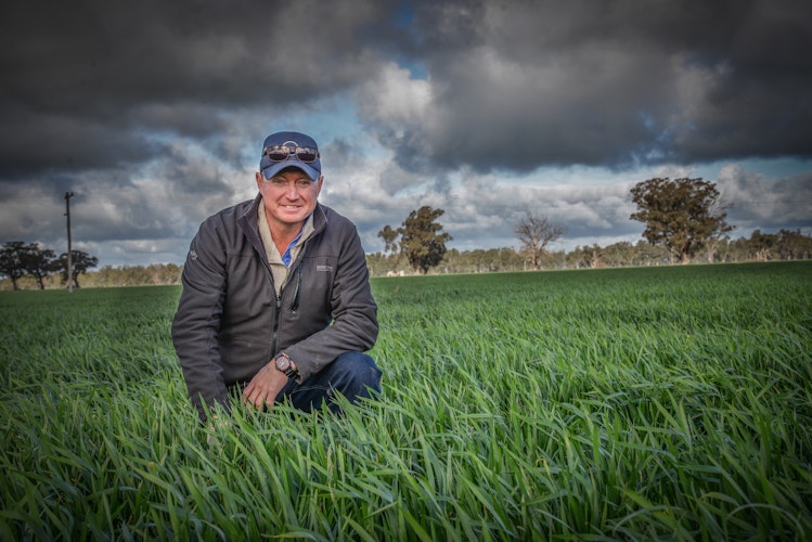 Agworld customer Matt Lane, from Erin Vale farming, Galore NSW, Australia