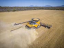 Unit economics of decisions: proving your ROI with Agworld