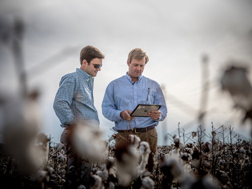 Agworld Farm Management Software customer in the Cotton field, making informed decisions by using Agworld.