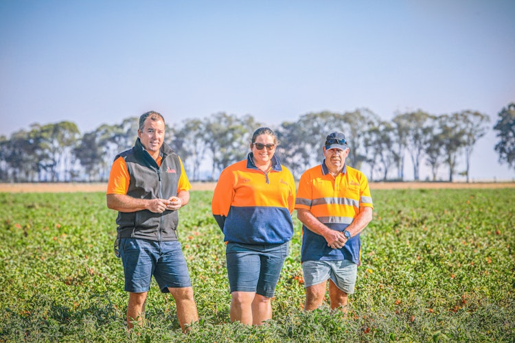 Agworld Farm Management Software Client, Kagome, Echuca, VIC