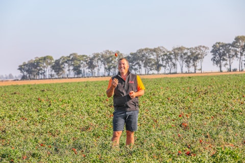 Agworld client, Kagome