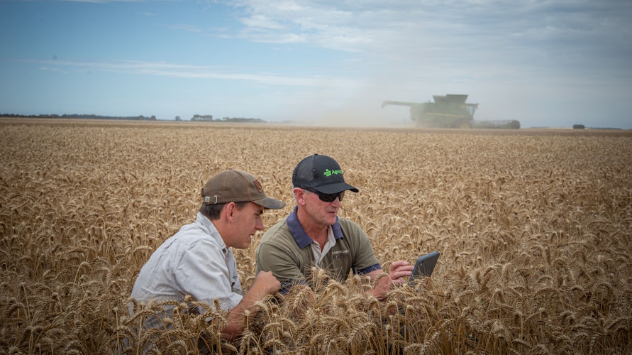 Introducing our new Harvest Dashboard