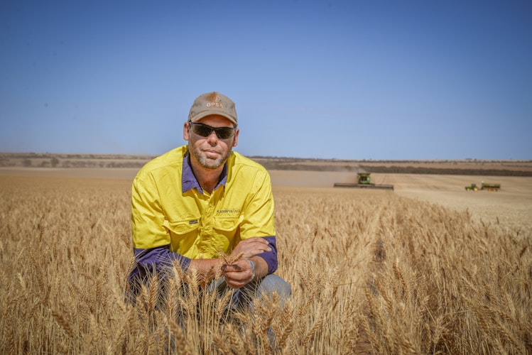 Agworld Farm Management Software Client, Karinya Ag, Bucklboo, SA