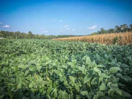 Agworld customer Pinion, Oxford, MS. Field Row Crops