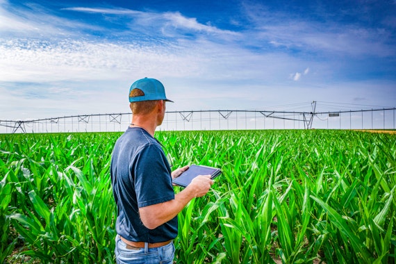 Agworld Farm Management Software customer in the Cotton field, making informed decisions by using Agworld.