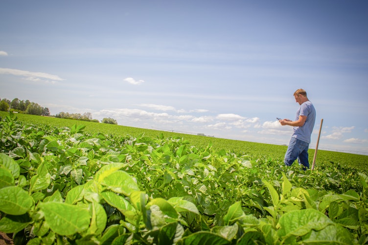 Agworld Farm Management Software Client, Lance Funk Farms, American Falls, ID