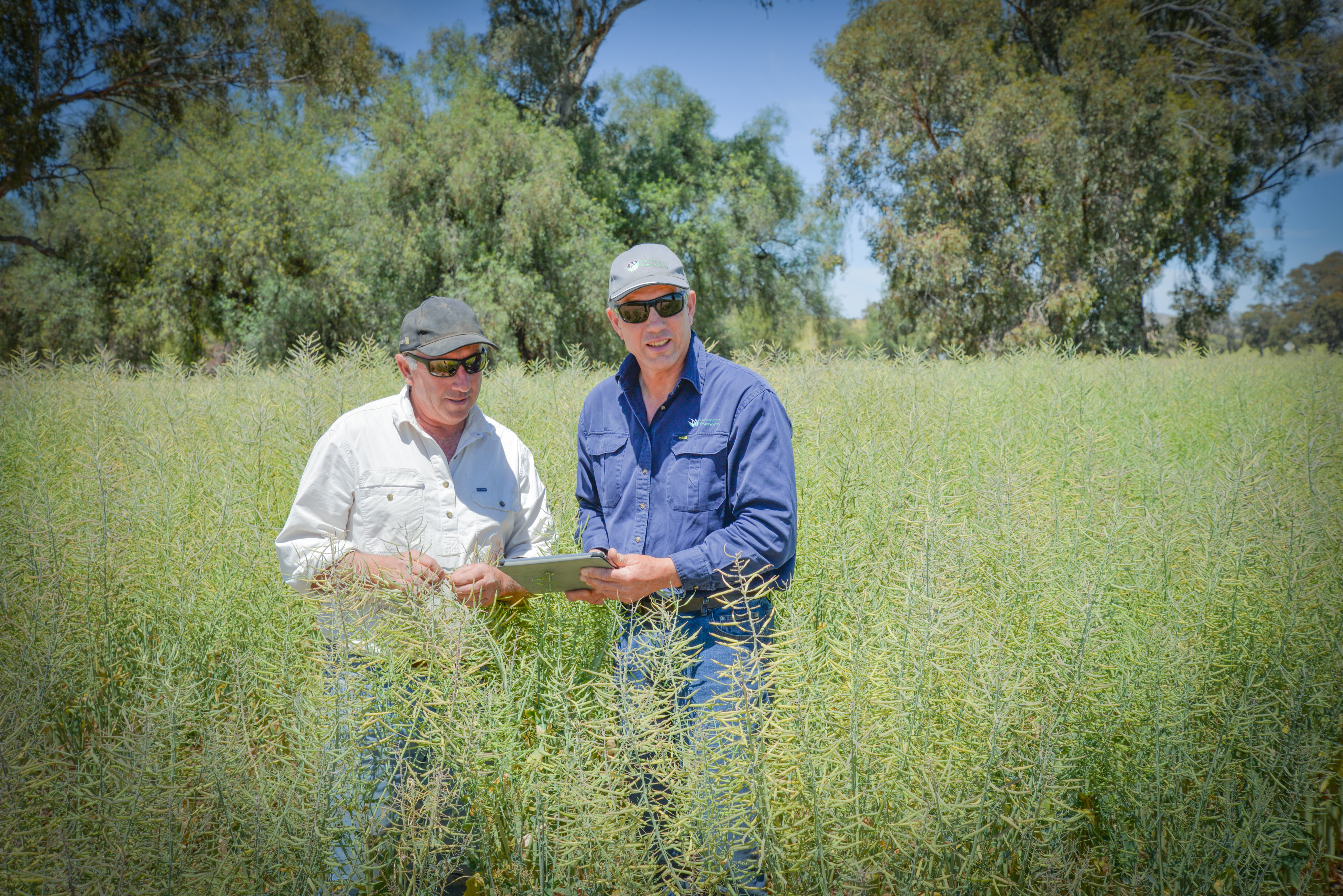 Agworld client, Larcombe Agronomy, Bruce Larcomble outstanding in the field with Tony Luderman, Dookie Victoria 