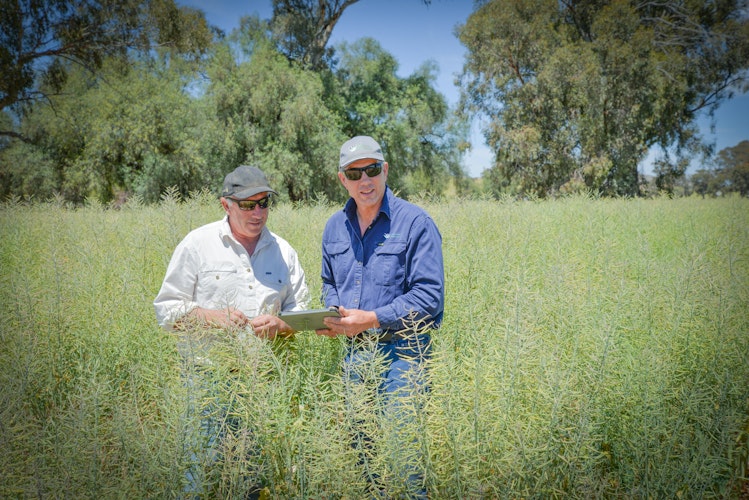 Agworld client, Larcombe Agronomy, Bruce Larcomble outstanding in the field with Tony Luderman, Dookie Victoria 