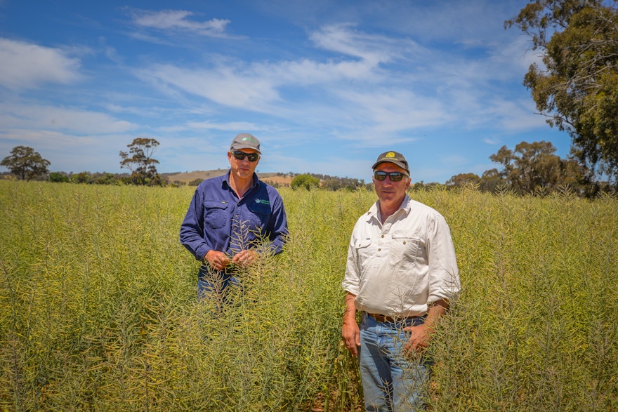 Dynamic Calculations, now available on iOS in Australia