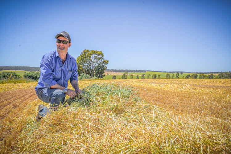 Agworld Farm Management Software Client, Maitland Foods, Hart, SA