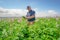 Now available in Agworld: Shapefile Soil Sample Import, Blend Tables, and Target Analysis Blend Calculator