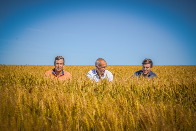 Agworld Farm Management Software Client, The Murdoch family, Warooka, SA