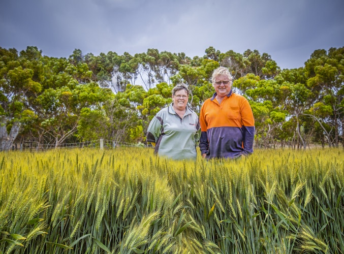 Agworld Farm Management Software Client, Perks Family, Grass Patch, WA