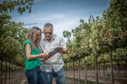 Agworld Farm Management Software client Reamer Farms. James and Jamie Reamer using Agworld on iPad while in the vineyard.