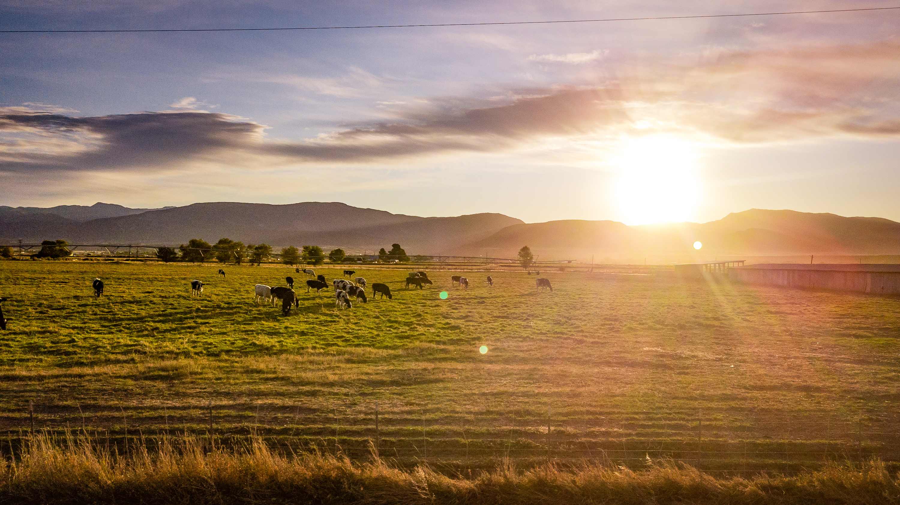 Agworld partner Mobble