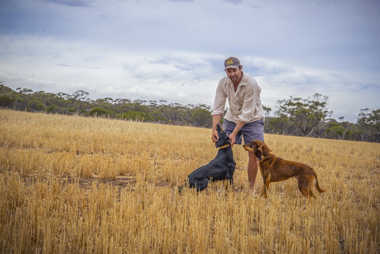 Agworld Farm Management Software Client, Robertson Family, Kulin, WA